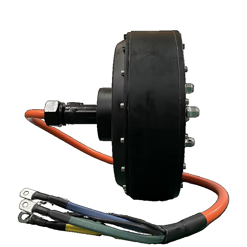 Dual QS 273 8000W 72V Electric - đánh giá và giá Qs Motor 273 8000W Hub Motor